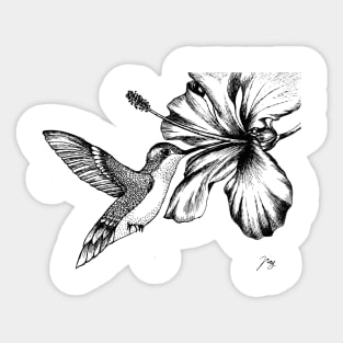 Hummingbird & Hibiscus Sticker